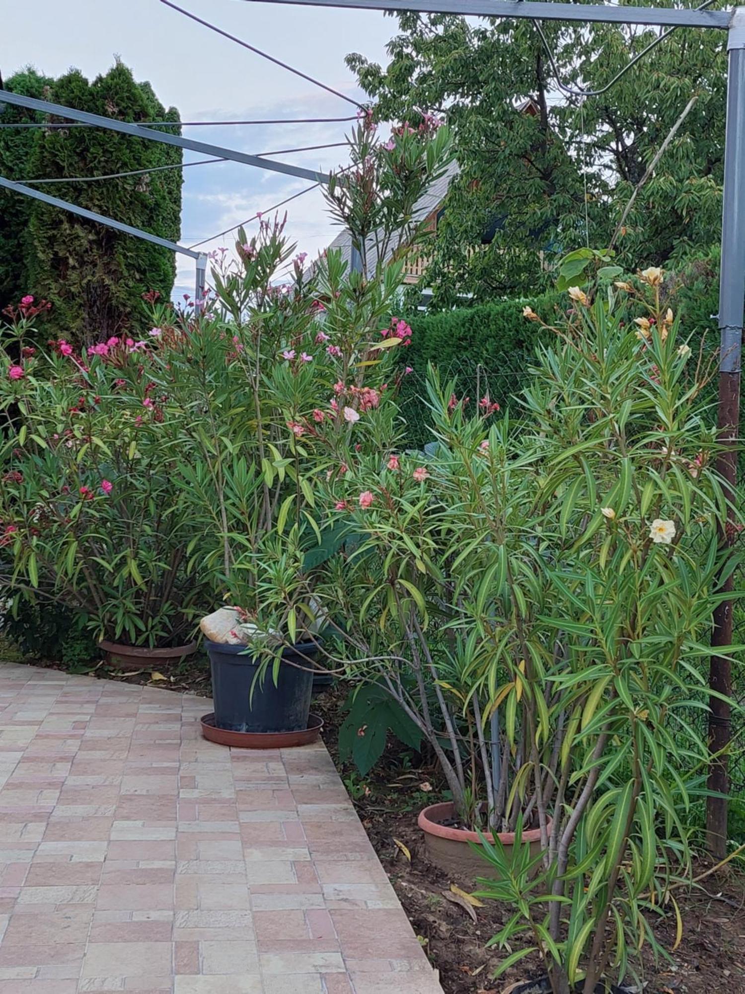 Lonci Apartman Zalakaros Buitenkant foto